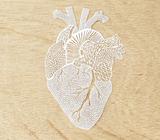 Anatomic_Heart_727372d3-113f-4134-9b6f-f8ce6fb58d69_compact